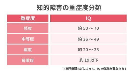 軽度知的障害とは?診断基準や特性、受けられる福祉サービス・支援について解説 | LITALICOライフ